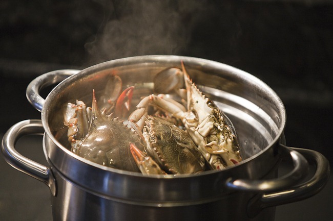 [Crabs in the Pot[4].jpg]
