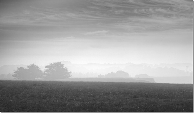Foggy Field at Point Arenas