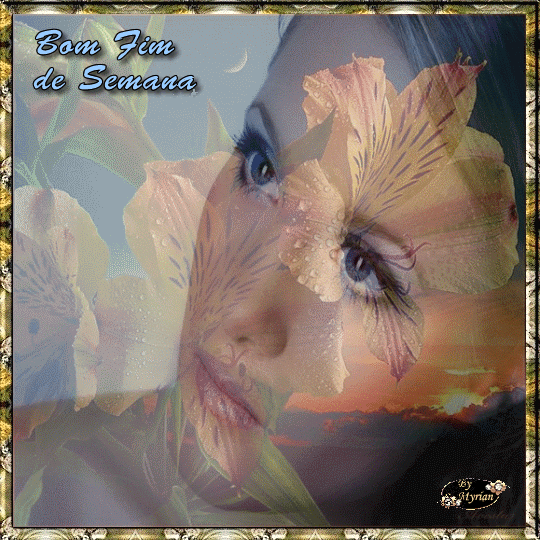 cart232pagina.gif