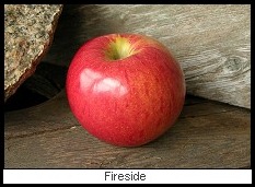 Apple Fireside