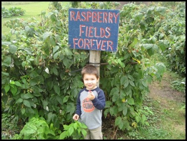 Raspberry Fields Forever