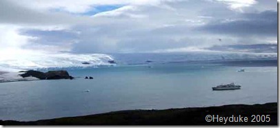 226 panorama Penguin Island