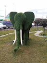 Слон Зеленый