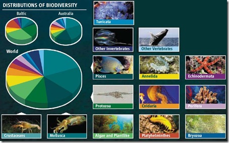 distribution biodiversity