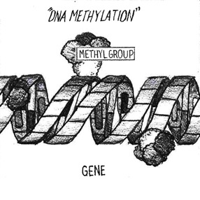 [dna-methylation-jk-1[29].jpg]