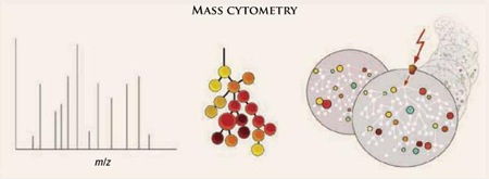 [mass-citometry[3].jpg]