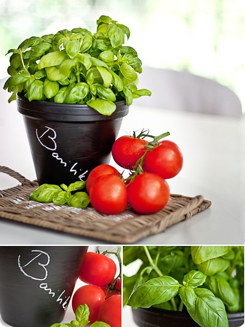 Les Tissus Colbert02