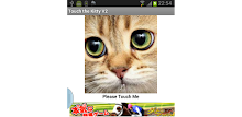 Touch The Kitty V2.5 APK