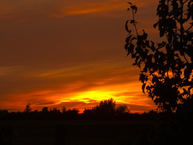 [Lincolnshire Sunset[4].jpg]