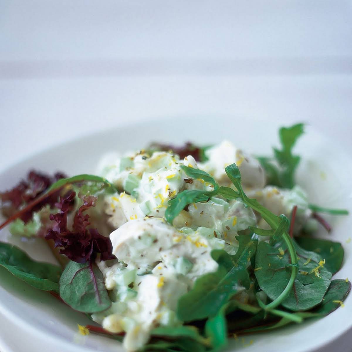 10 Best Fat Free Vegetable Salad Recipes