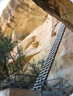 Mesa Verde Balcony House 32 ft. Ladder