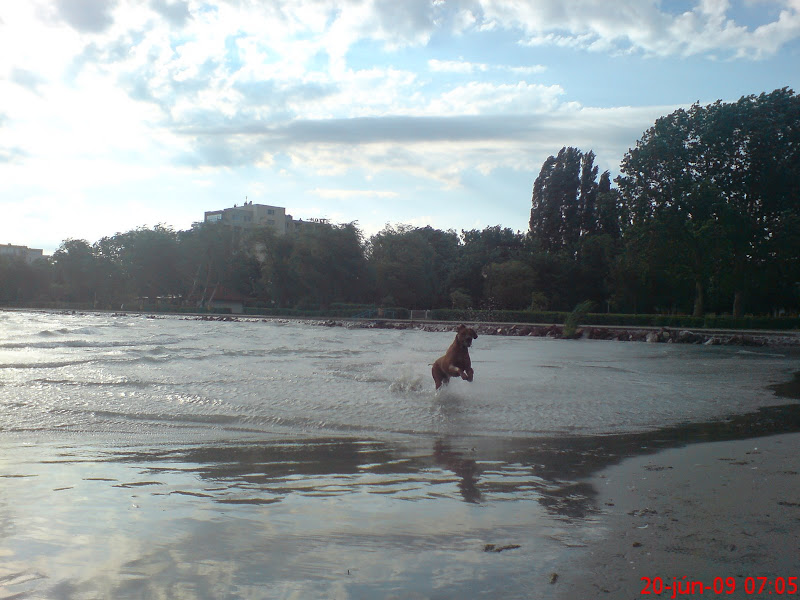 DSC00034.JPG
