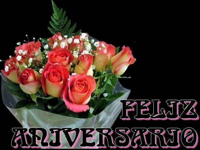 FELIZ_NIVER.jpg