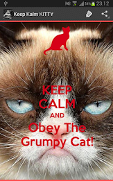 Keep Calm KITTY poster 16
