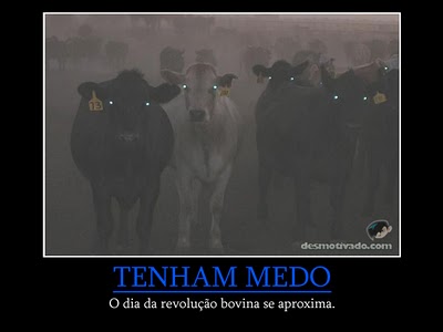 http://lh4.ggpht.com/_4gFtdItfCyk/S51VtyD3ZUI/AAAAAAAAADI/yT0ziZEUwAs/tenhammedo.jpg