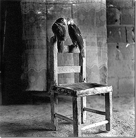 House of the Speaking Parrots — Horst Friedrichs, undated