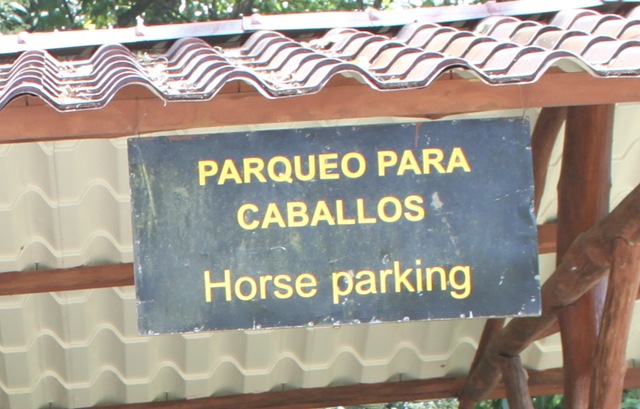 [horseparking3.jpg]