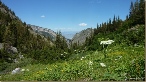 Elephant mountain hike_20090825_050