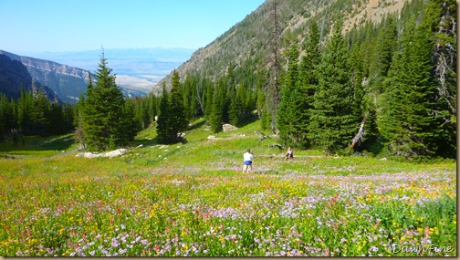 Elephant mountain hike_20090825_208