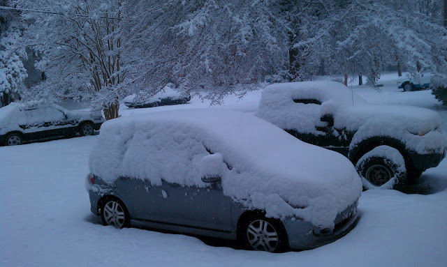 IMAG0341.jpg
