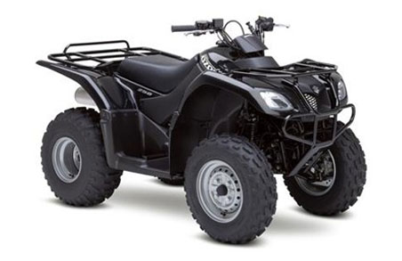 [suzuk-ozark-250-4X2-atv.jpg]