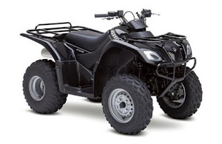 Suzuki Ozark 250 4X2 ATV