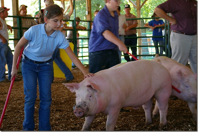Cara showing her pig