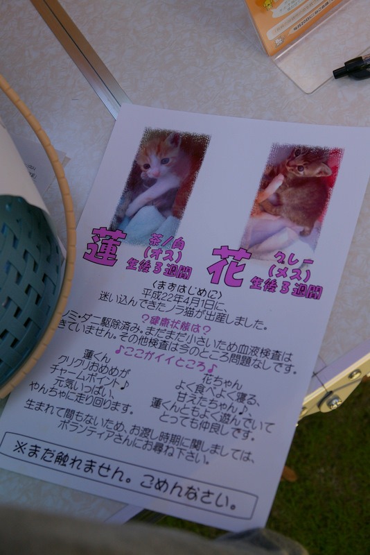 [IMGP220694.jpg]