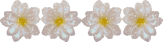 aju.gif