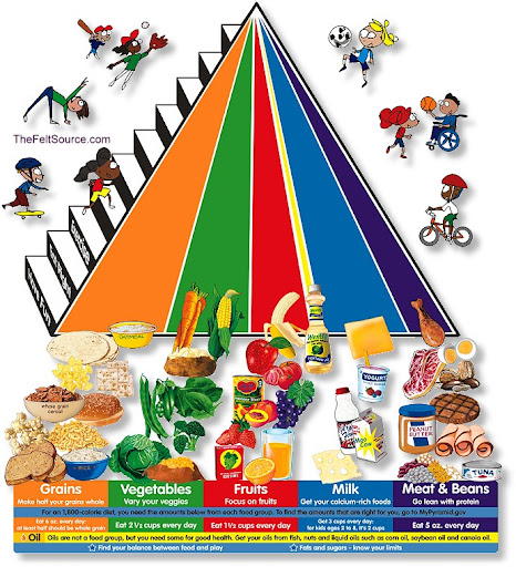 food chain pyramid of numbers. Food+web+pyramid
