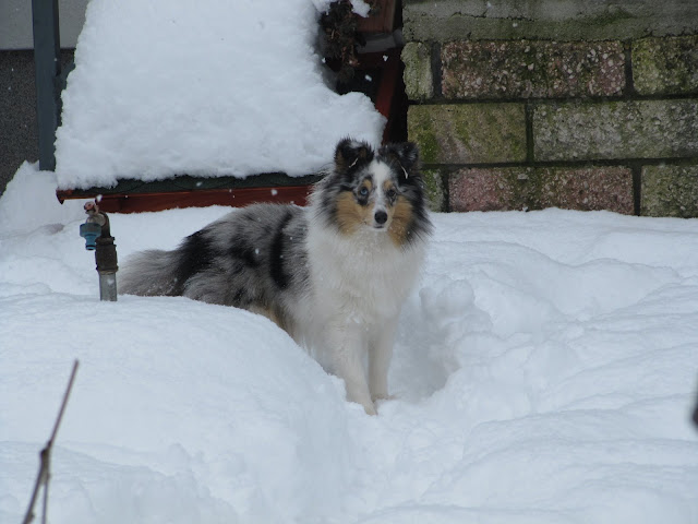 20100206%20191.jpg