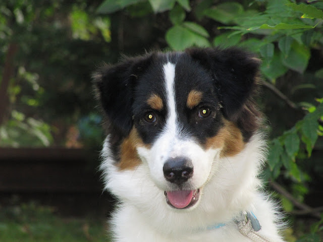 2009-08-17%201075.jpg