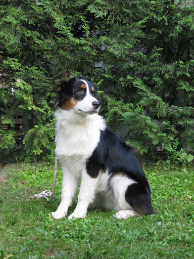 2009-08-17%201084.jpg