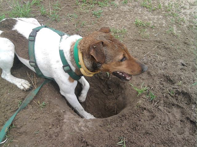 2010-05-03%2011.58.50.jpg