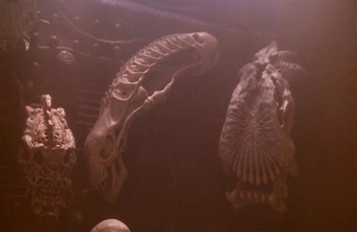Predator2_AlienSkull%5B3%5D.jpg