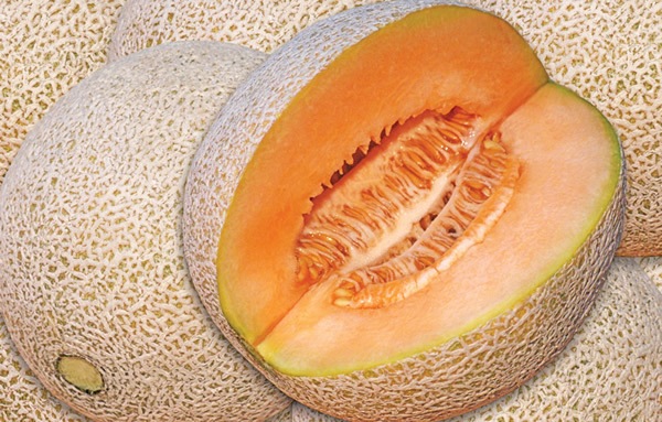 [melon (1)[11].jpg]