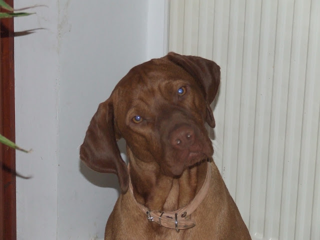 DSCF7841.JPG