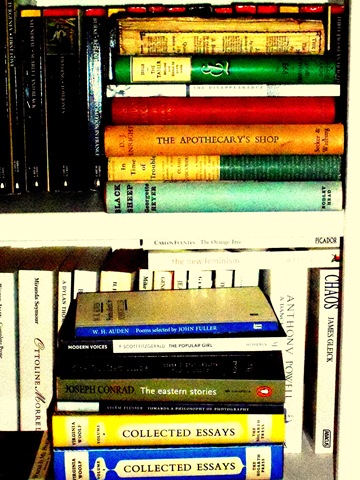 [Bookshelves 073[5].jpg]
