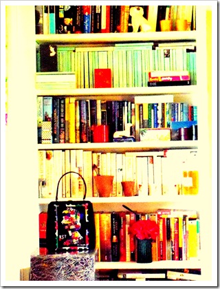 Bookshelves 027
