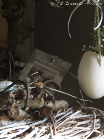 [maart 2010 008[15].jpg]