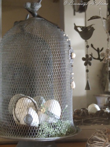 [maart 2010 002[8].jpg]