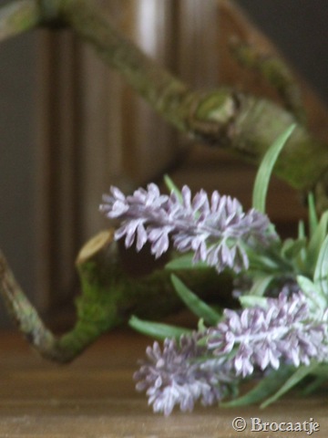 [april 2010 053[6].jpg]