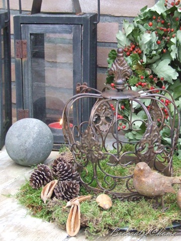 [herfst 2009 006[6].jpg]