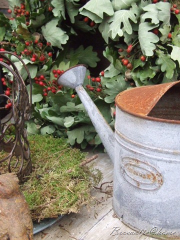 [herfst 2009 008[6].jpg]