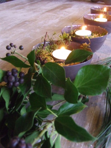 [december 2009 013[3].jpg]