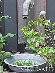 mei 2010 002