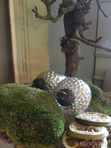 [augustus 30-2010 053[5].jpg]