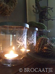 augustus 30-2010 026