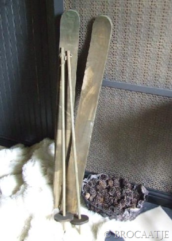 [ski stokken groot 031[6].jpg]