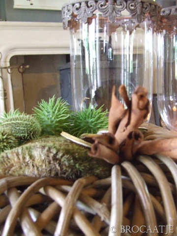 [wonen september 2010 009[6].jpg]